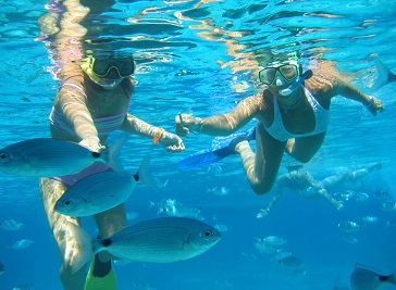 Diving Division Orcasub