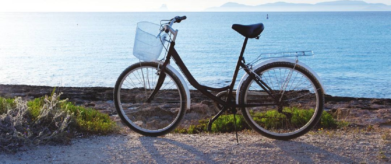 Cycling Walking
