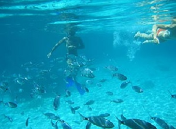 La Isla Flotante